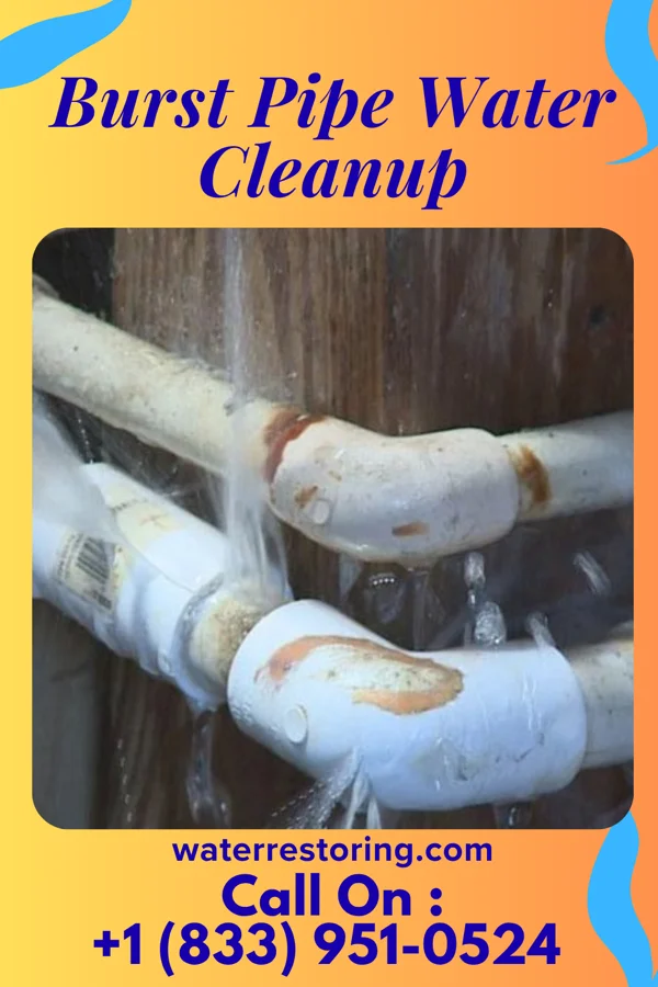 Burst Pipe Water Cleanup in DeWitt, IA