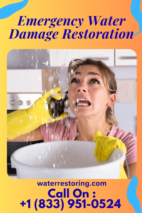 Emergency Water Damage Restoration in DeWitt, IA