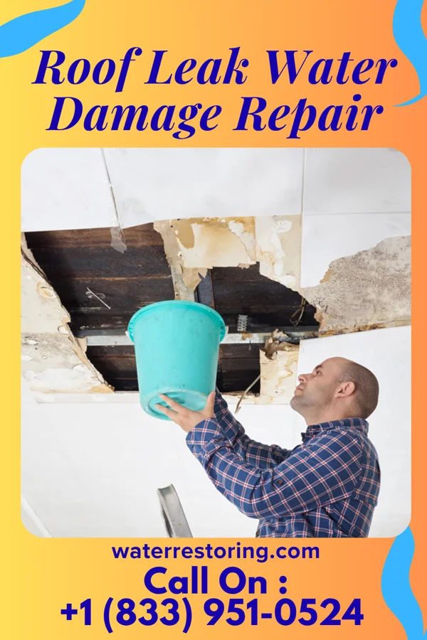 Roof Leak Water Damage Repair in DeWitt, IA