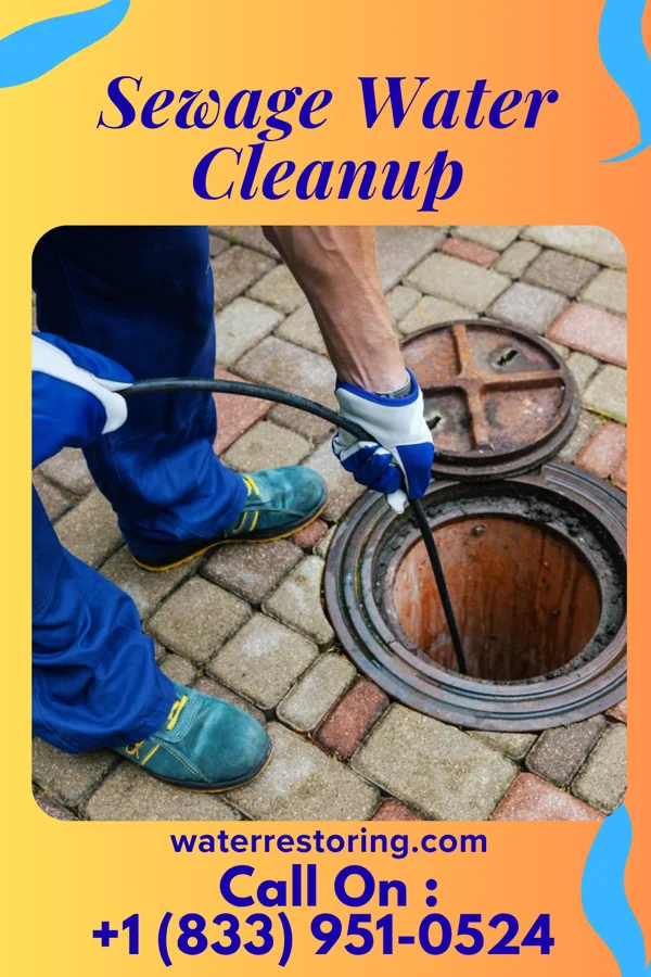 Sewage Water Cleanup in DeWitt, IA